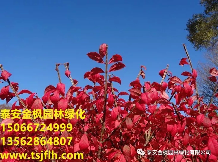廣森源實地工廠