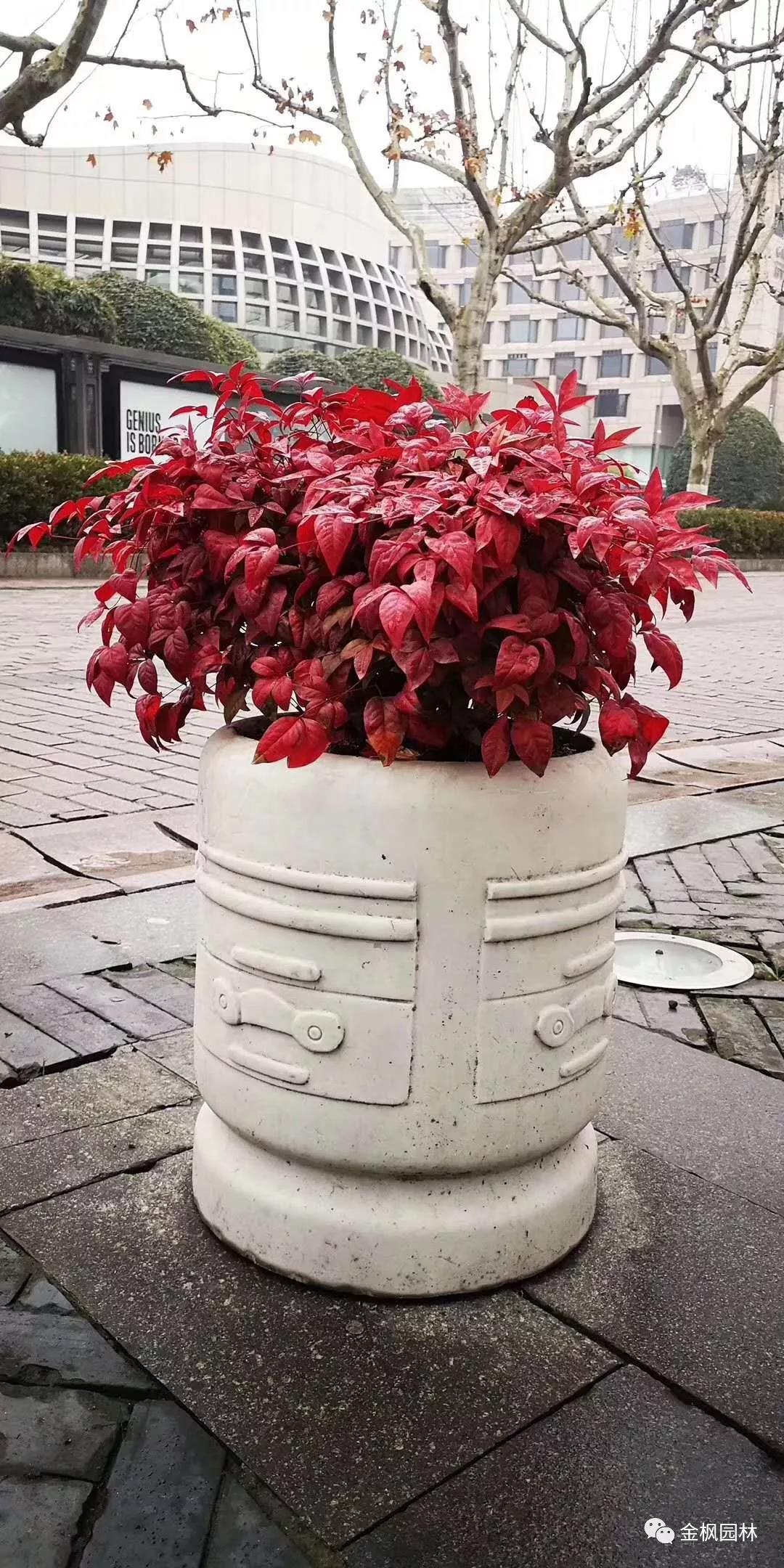 焊接燒烤網(wǎng)